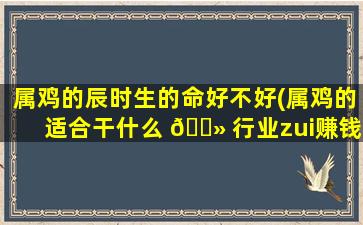 属鸡的辰时生的命好不好(属鸡的适合干什么 🌻 行业zui
赚钱)